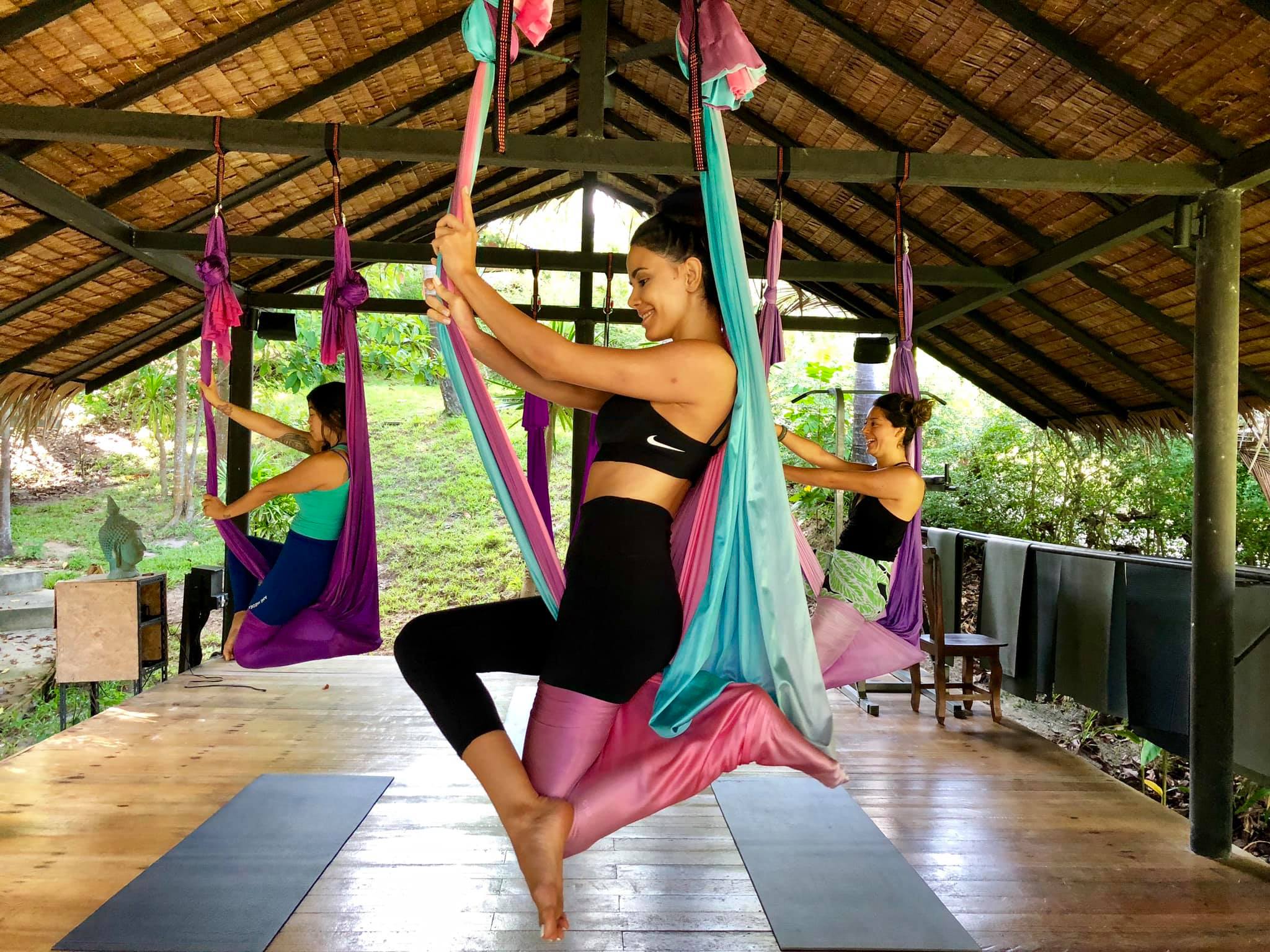 500-Hour Aerial Yoga Online Teacher Training - Rising Wings Aerial Yoga  Teacher Training w/ Lindsay Nova Online Vinyasa Yin Yoga Alliance