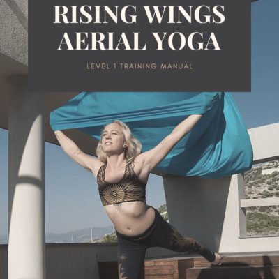 rising wings aerial yoga with lindsay nova training manual book