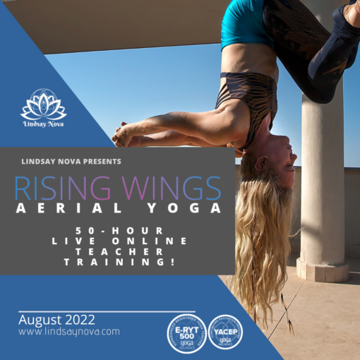 rising wings aerial yoga lindsay nova teacher training online retreats yoga alliance