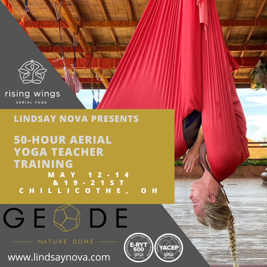 rising wings aerial yoga teacher training yoga alliance certification ohio