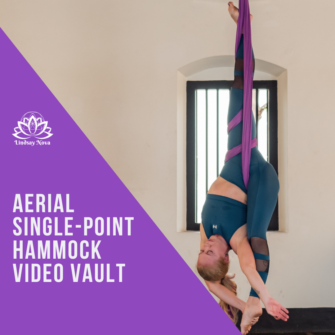 Aerial Hammock Video Vault